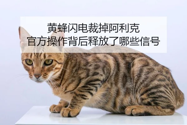黄蜂闪电裁掉阿利克 官方操作背后释放了哪些信号（leyu）